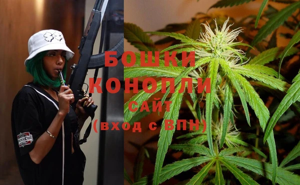 спайс Нея