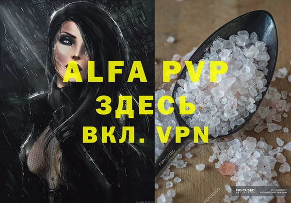 спайс Нея