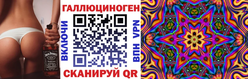 Псилоцибиновые грибы Psilocybine cubensis  Серафимович 